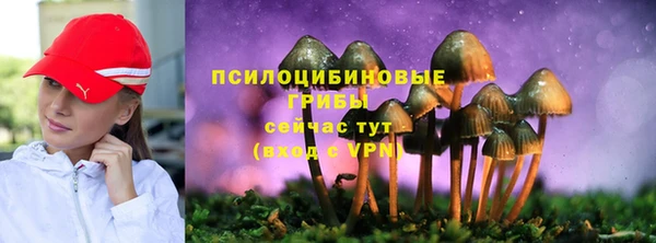 ALPHA PVP Абдулино